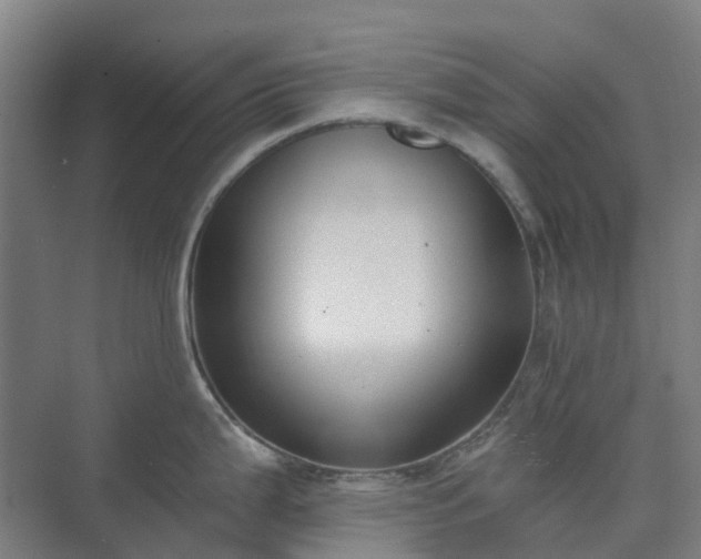 X0000074261199200609011334