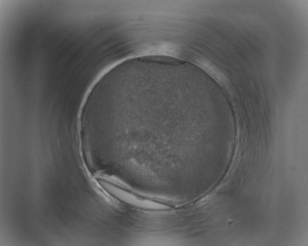 X0000074261200200609011334