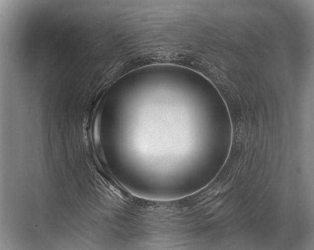 X0000074261202200609011334