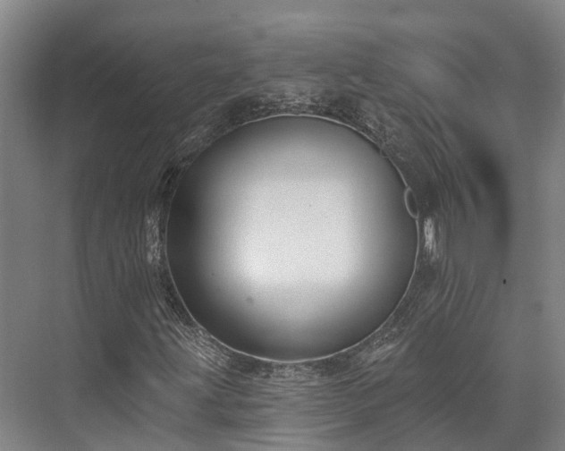 X0000074261203200609011334