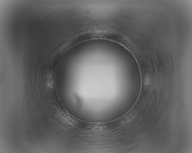 X0000074261204200609011334