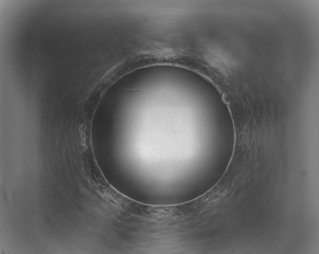 X0000074261205200609011334