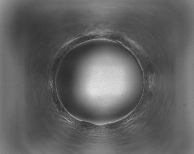 X0000074261206200609011334