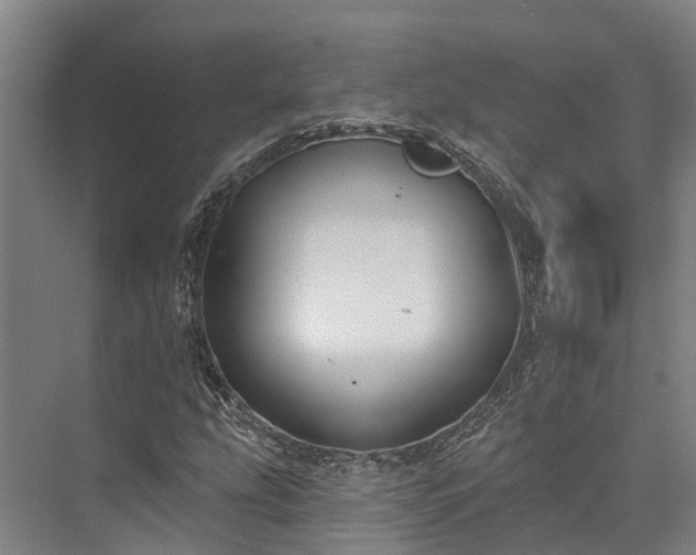 X0000074261207200609011334