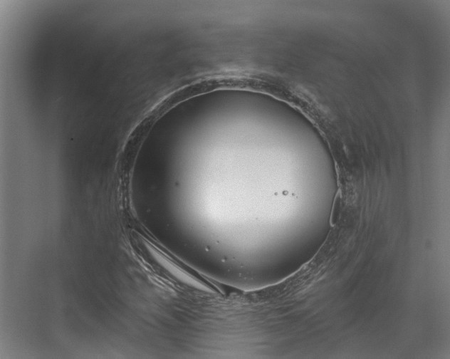 X0000074261208200609011334