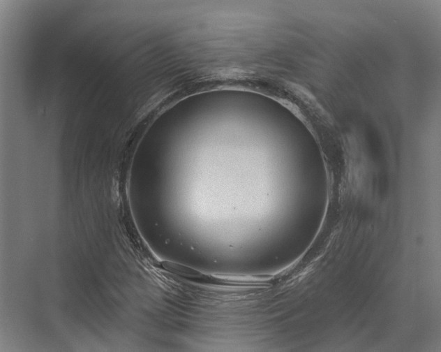 X0000074261209200609011334