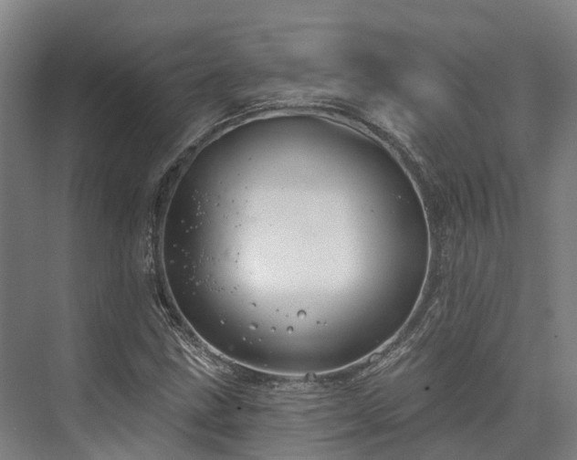 X0000074261211200609011334