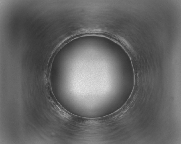 X0000074261212200609011334