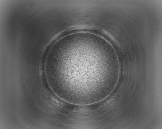 X0000074261213200609011334