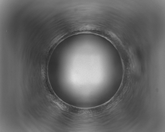 X0000074261217200609011334