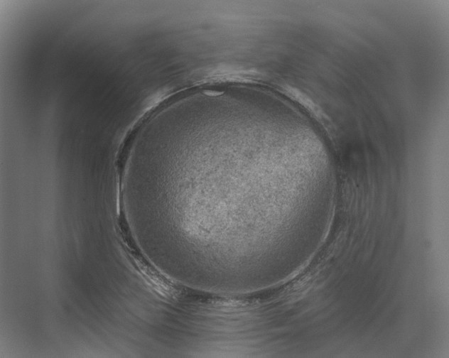 X0000074261219200609011334