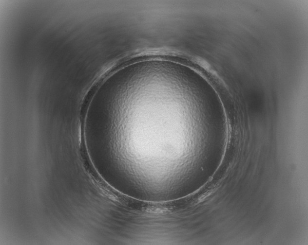 X0000074261221200609011334