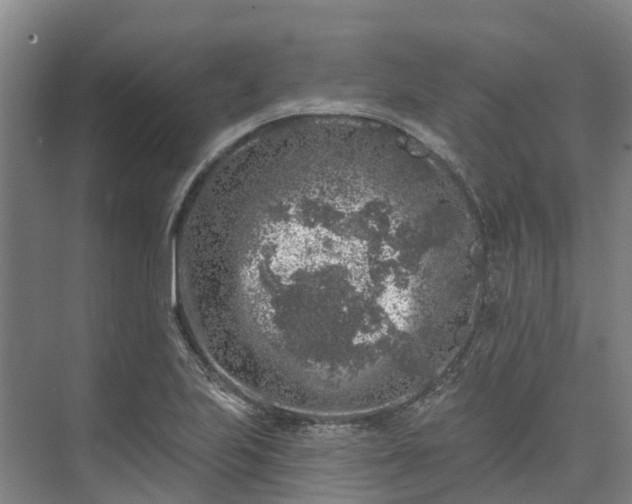 X0000074261223200609011334