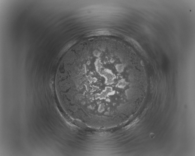 X0000074261225200609011334