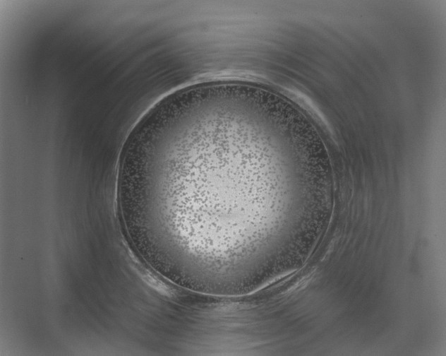 X0000074261228200609011334