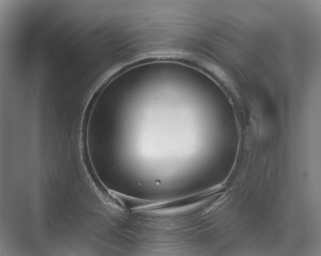 X0000074261229200609011334