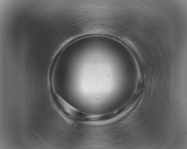 X0000074261230200609011334