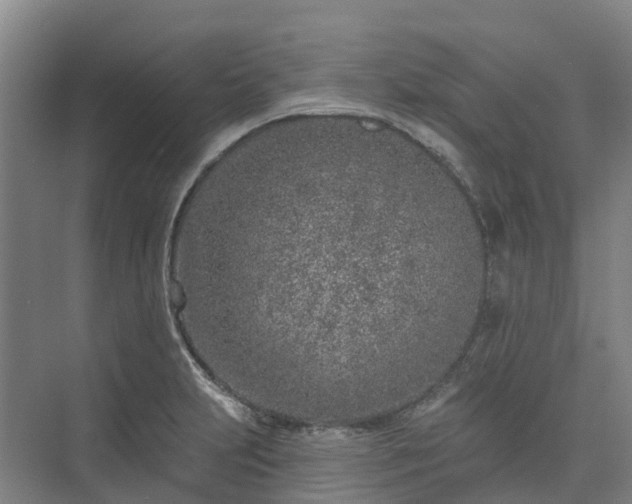 X0000074261231200609011334