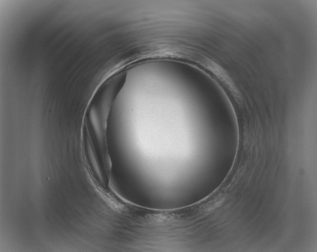 X0000074261234200609011334