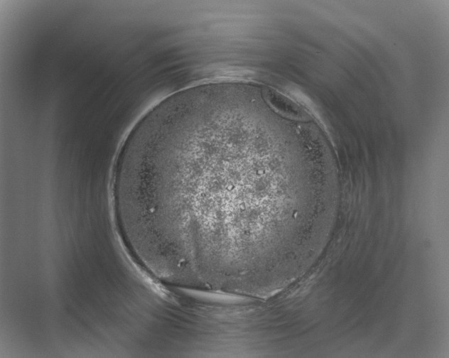 X0000074261235200609011334