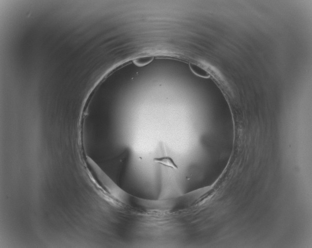 X0000074261236200609011334