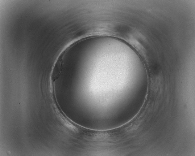 X0000074261238200609011334