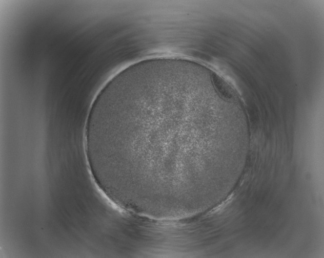 X0000074261239200609011334