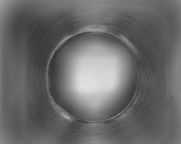 X0000074261240200609011334