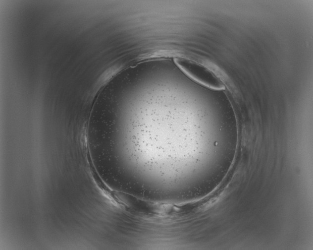 X0000074261241200609011334