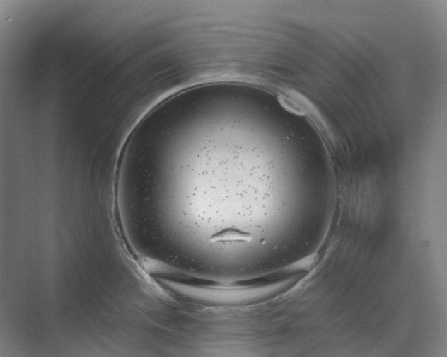 X0000074261244200609011334