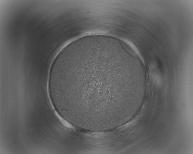 X0000074261245200609011334