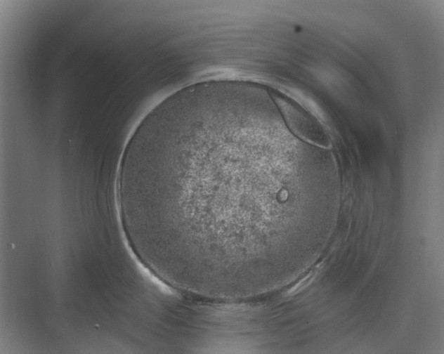 X0000074261247200609011334