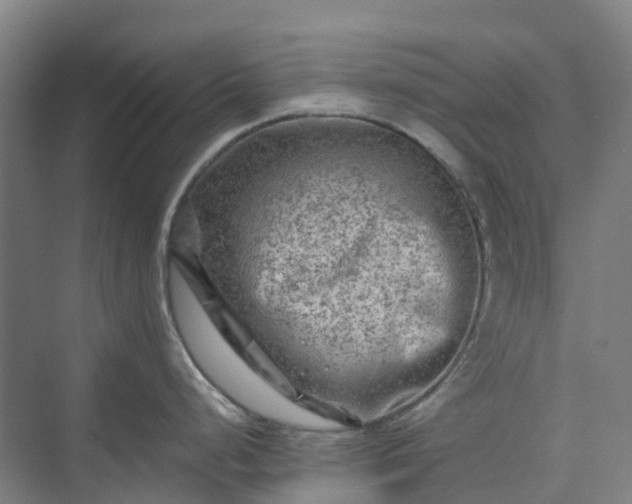 X0000074261248200609011334