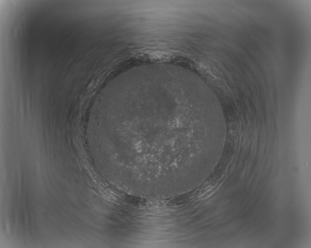 X0000074261249200609011334