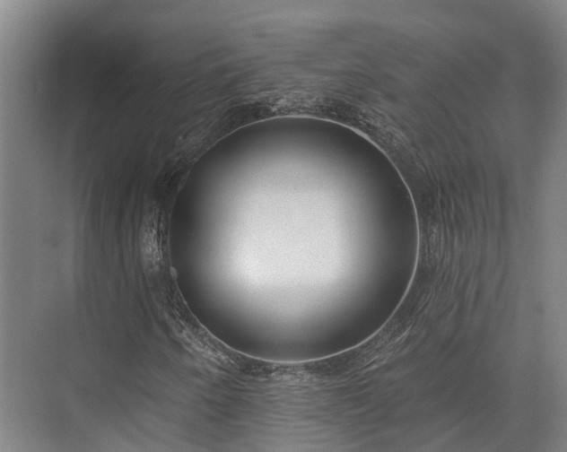 X0000074261250200609011334