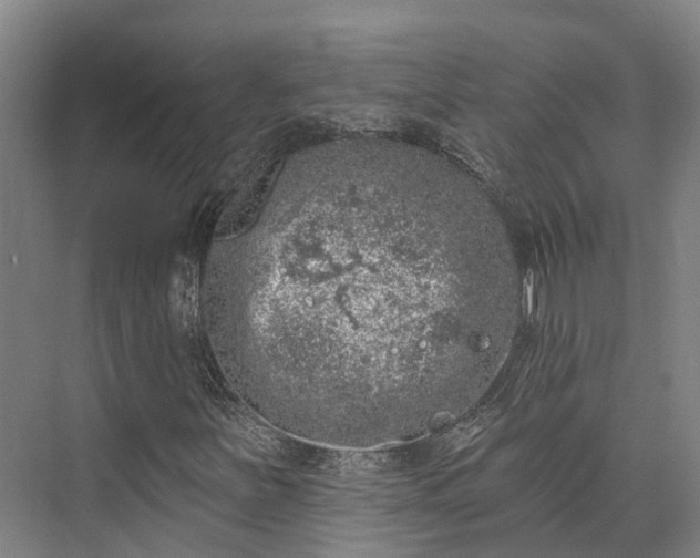 X0000074261251200609011334