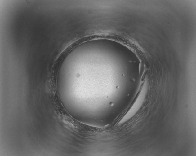 X0000074261256200609011333