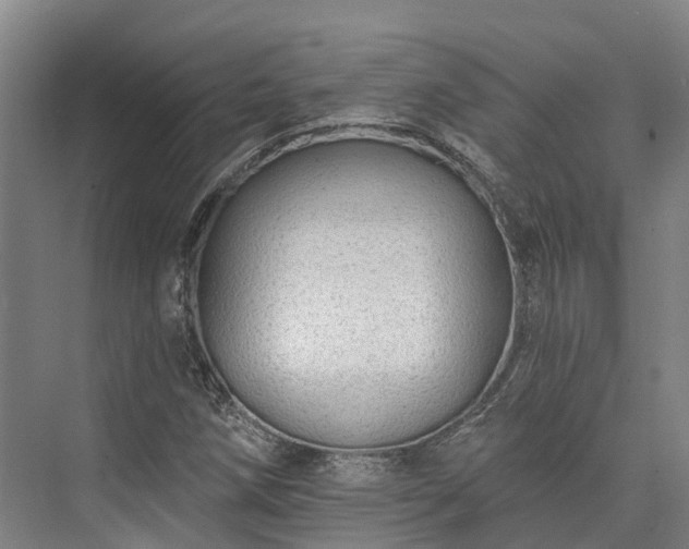 X0000074261258200609011333