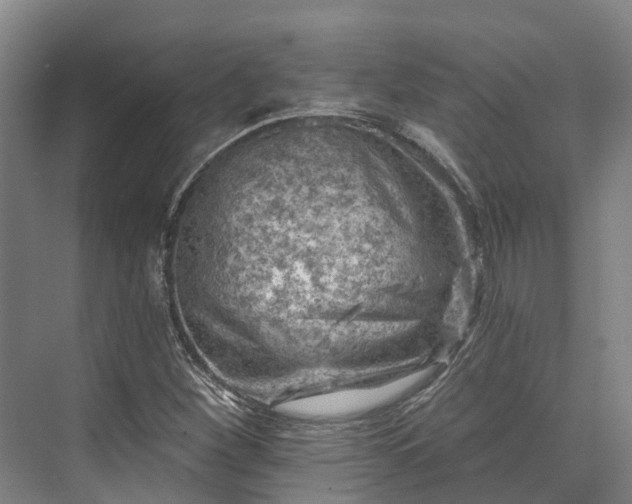 X0000074261260200609011333