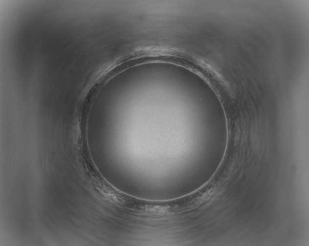 X0000074261261200609011333