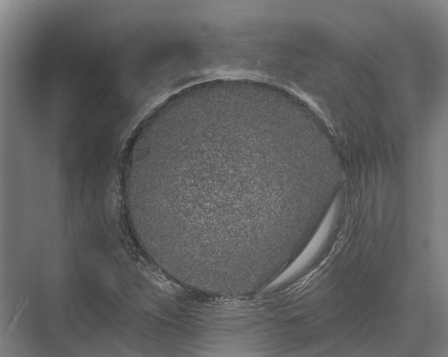 X0000074261263200609011333