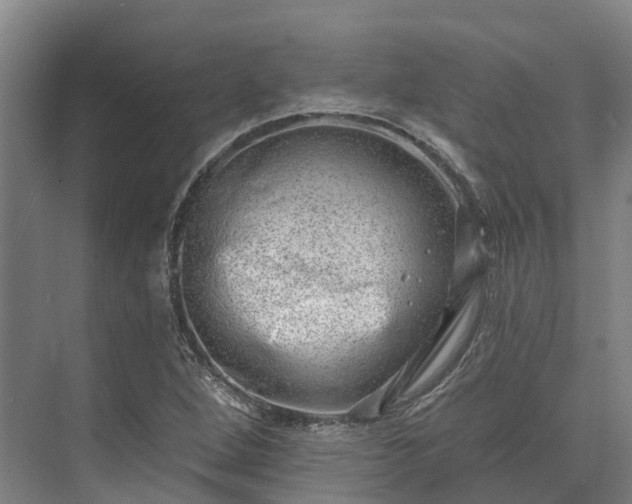 X0000074261264200609011333