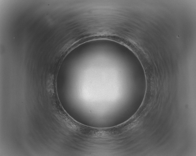 X0000074261265200609011333