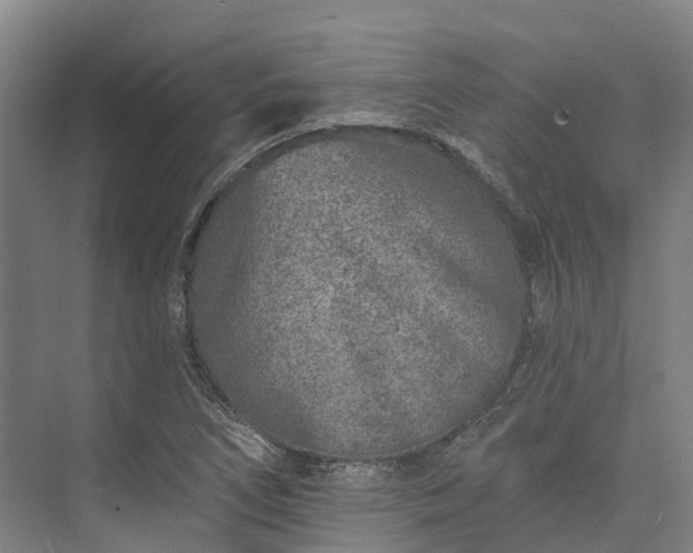 X0000074261266200609011333