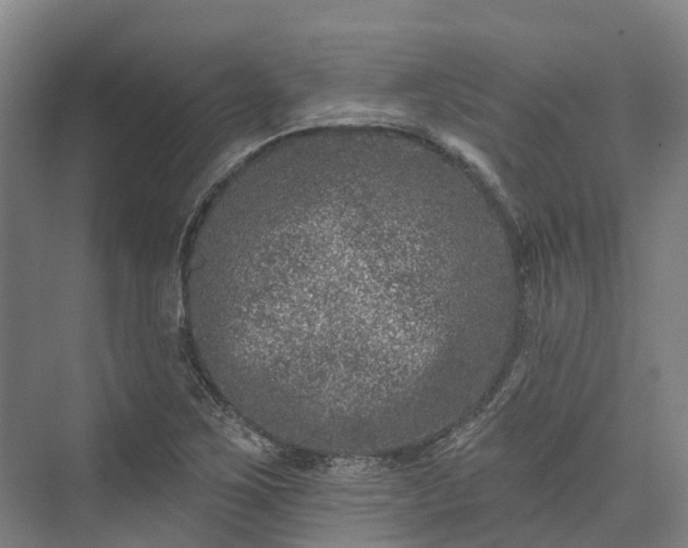 X0000074261267200609011333