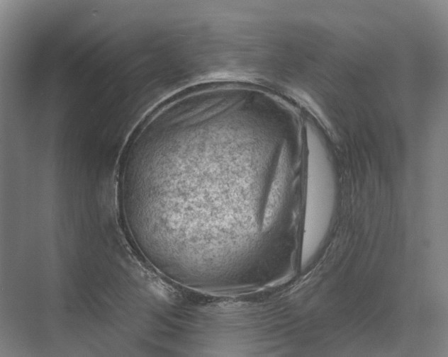 X0000074261268200609011333