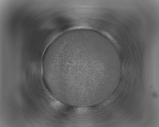 X0000074261274200609011333