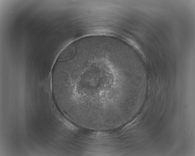 X0000074261275200609011333