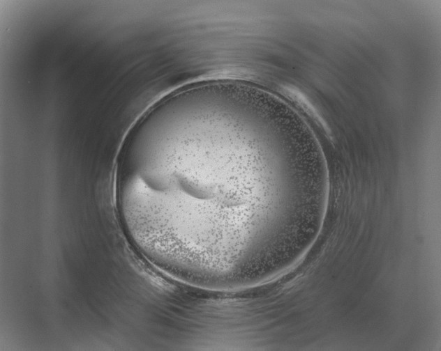 X0000074261276200609011333