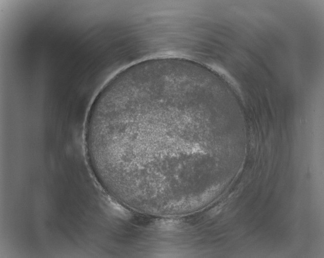 X0000074261278200609011333